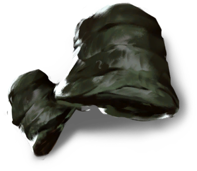 Blackhewn Mage's Gloves game icon