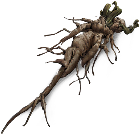 Entwined Root game icon