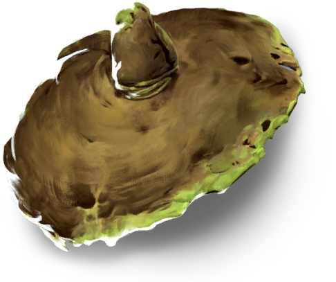 Seer's Cap game icon